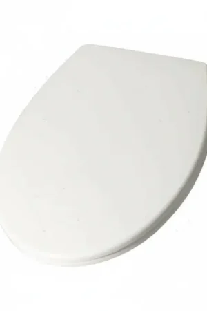 Vendita Finale Seduta WC in ABS (Copriwater) - Ricambio per Toilette Manuale RM69 CLASSIC