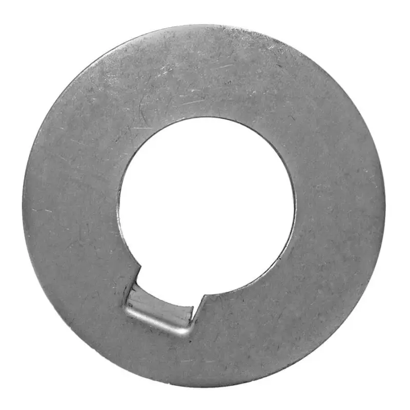 Promozione Esclusiva Rondelle di sicurezza inox per ogiva radice asse Ø 50 mm.