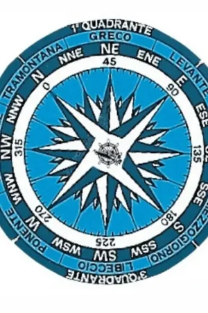 Compra Oggi Stesso Tabella adesiva rosa dei venti silver Ø 80 mm.