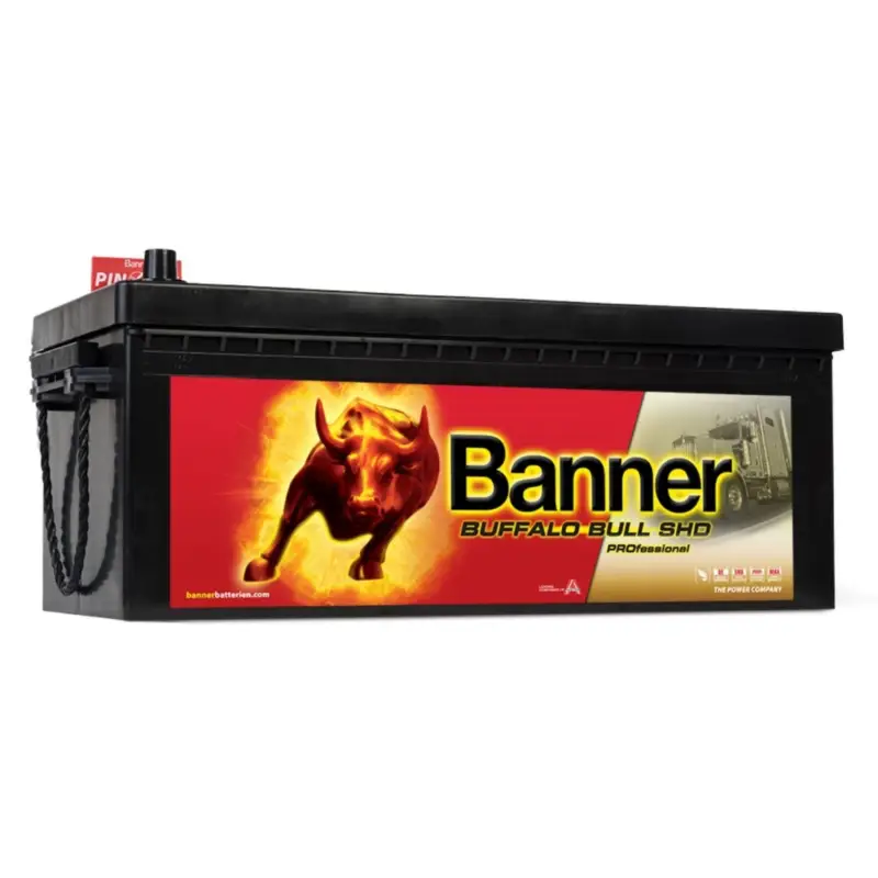 Reso Gratuito Batteria Banner 12V 180Ah Buffalo Bull SHD Professsional con spunto 1000A N51120050530