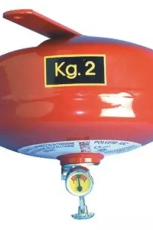 Prezzo Di Fabbrica Estintore automatico a pioggia kg.2 (31.515.02)