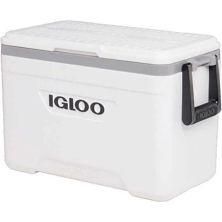Quantità Limitata Ghiacciaia Igloo Marine Ultra 25 - 23 lt.