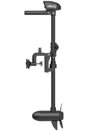 Non Perdere Haswing fuoribordo elettrico W20 20-23" - 12V