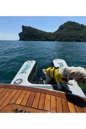 Ultima Occasione Rampa scala per cane gonfiabile T-WAVE