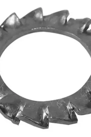 Pagamento Sicuro Rondella dentellata in acciaio inox 316 A4