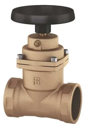 Nuovo Arrivo VALVOLA ANTIBLOCCO 2"1/2 BRONZO