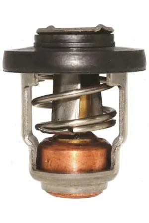 TERMOSTATO MTM REF MERCURY 892864T06 Nuovo Arrivo