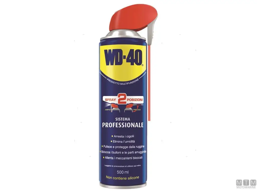 Spedito Oggi WD-40 PROFESSIONAL SPRAY 250ML
