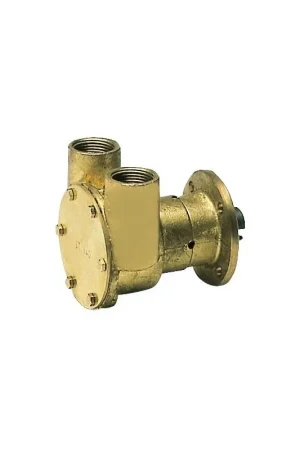 Solo Oggi Pompa Nautica Nauco FPR040 3/4 in Bronzo con Giranti in Neoprene, Perfetta per Collegamento al Motore di Barche