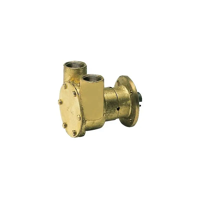 Solo Oggi Pompa Nautica Nauco FPR040 3/4 in Bronzo con Giranti in Neoprene, Perfetta per Collegamento al Motore di Barche