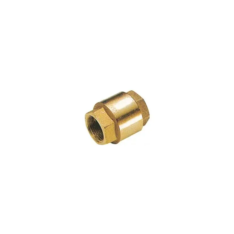 Valvola ritegno in ottone 1 1/4" per impianti nautici - impedisce il ritorno del liquido Spedizione Espresso