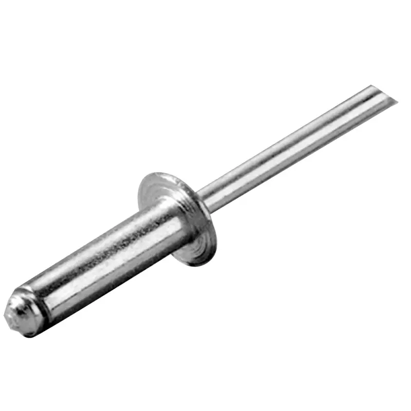 Rivetto Inox Ø 4,8x10 mm - Rivetto in Acciaio Inox per Vela e Nautica, corpo e mandrino in acciaio inox Popolare