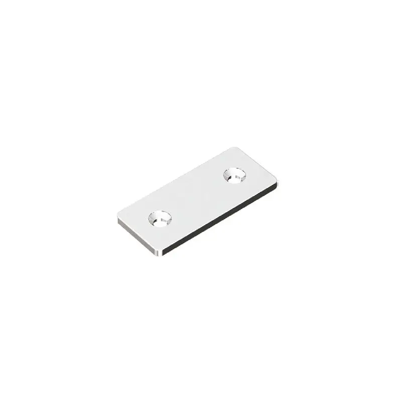Cerniere in acciaio inox Foresti e Suardi 65x28 mm Finitura: Acciaio Inox Promozione Esclusiva