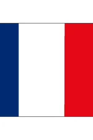 Bandiera Francia Occasione Imperdibile