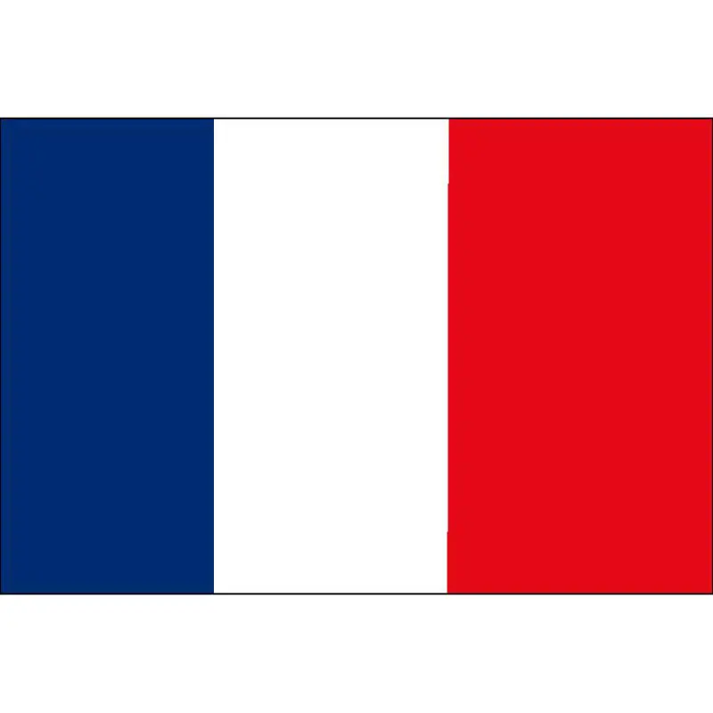 Bandiera Francia Occasione Imperdibile