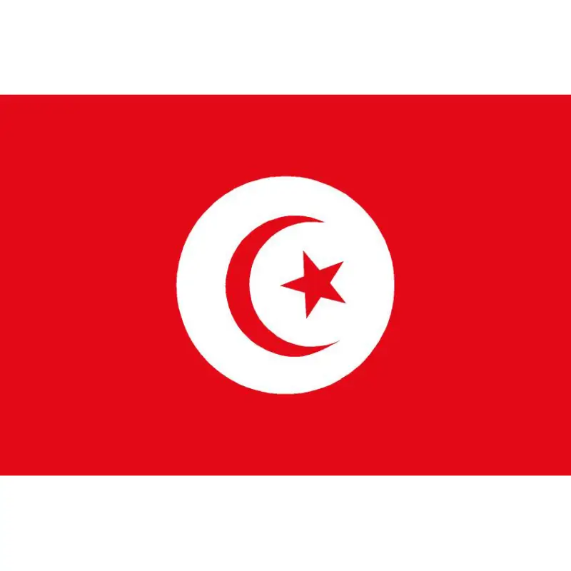 Ultime Pezzi Bandiera Tunisia