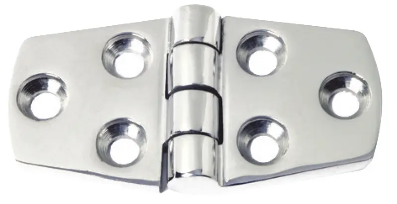 Affare Cerniera Robusta 5 mm in Acciaio Inox Sporgente mm 38 x72