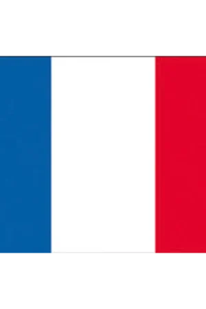 Reso Gratuito Bandiera francia cm.70x100