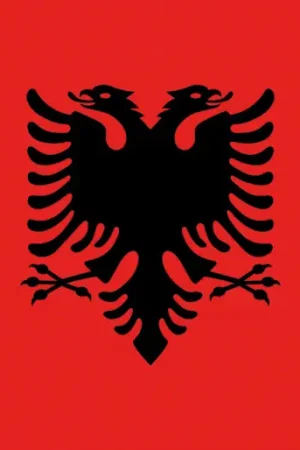Acquista Ora Bandiera Albania 20 x 30 cm