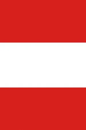 Bandiera Austria 50 x 75 cm Occasione