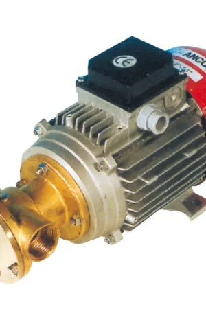 Pagamento Sicuro Pompa bg80 12 v.