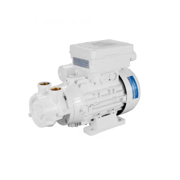 Promozione Elettropompa ACB90 E 230V Gianneschi Pump