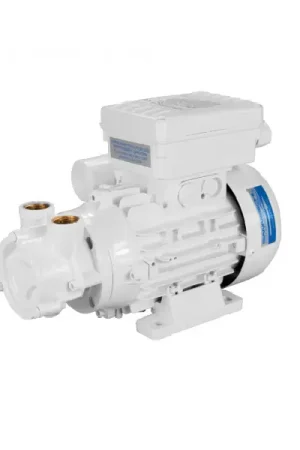 Affare Elettropompa ACB80 12V Gianneschi Pump