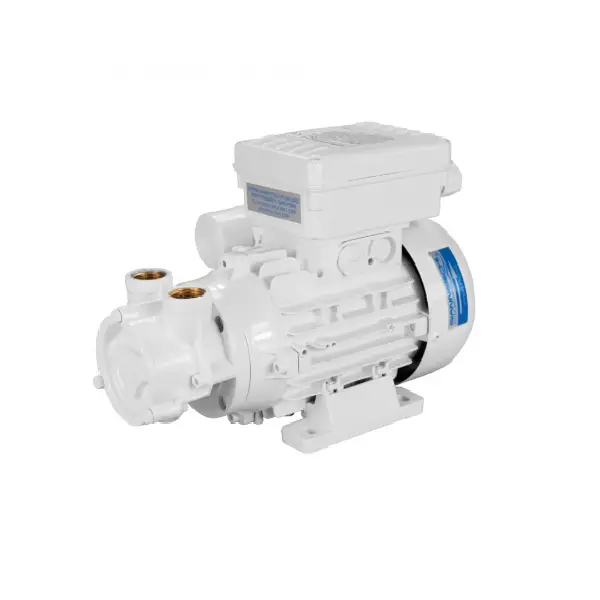 Affare Elettropompa ACB80 12V Gianneschi Pump
