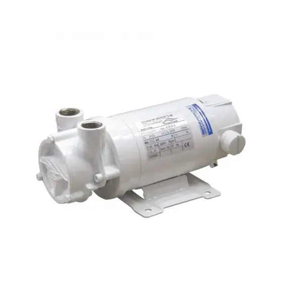 Direttamente Dal Produttore Elettropompa ACB61 G 24V Gianneschi Pump