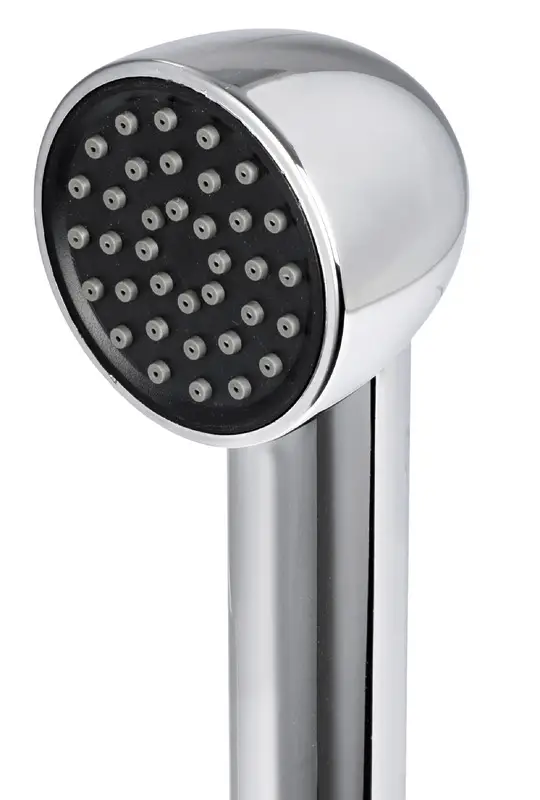 Box Elissa inox con doccia Keji tubo nylon 2,5 m Compra Online