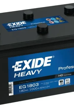 Soddisfatti O Rimborsati Batteria Professional 180 Ah