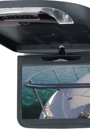 Boss BV12.1BGT Monitor/DVD/SD/USB da Tetto A Buon Prezzo