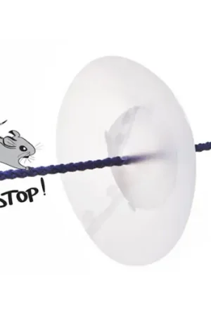 ANTI TOPOIN PLASTICA Promozione Esclusiva