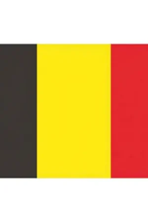 Compra Oggi Stesso BANDIERA BELGIO CM.20x30