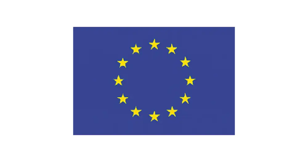 Ordina Subito BANDIERA EUROPA CM.80X120