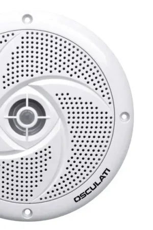 Esclusivo Coppia altoparlanti stereo ultra piatte a doppio cono