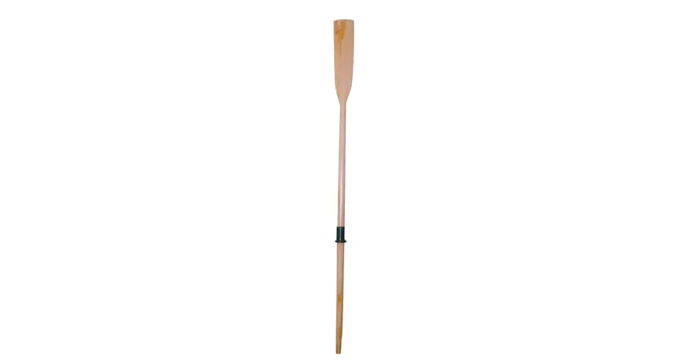 Soddisfatti O Rimborsati REMO FAGGIO Ø MM. 46 MT 2,75