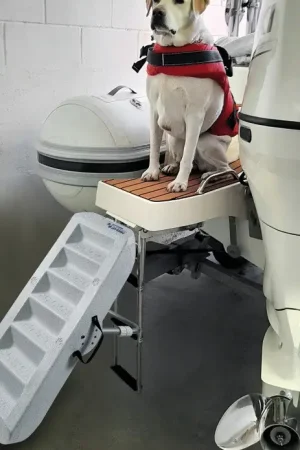 Offerta Limitata Scaletta per caniScaletta per cani