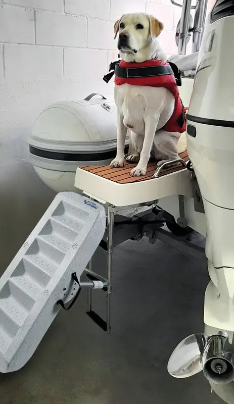 Offerta Limitata Scaletta per caniScaletta per cani