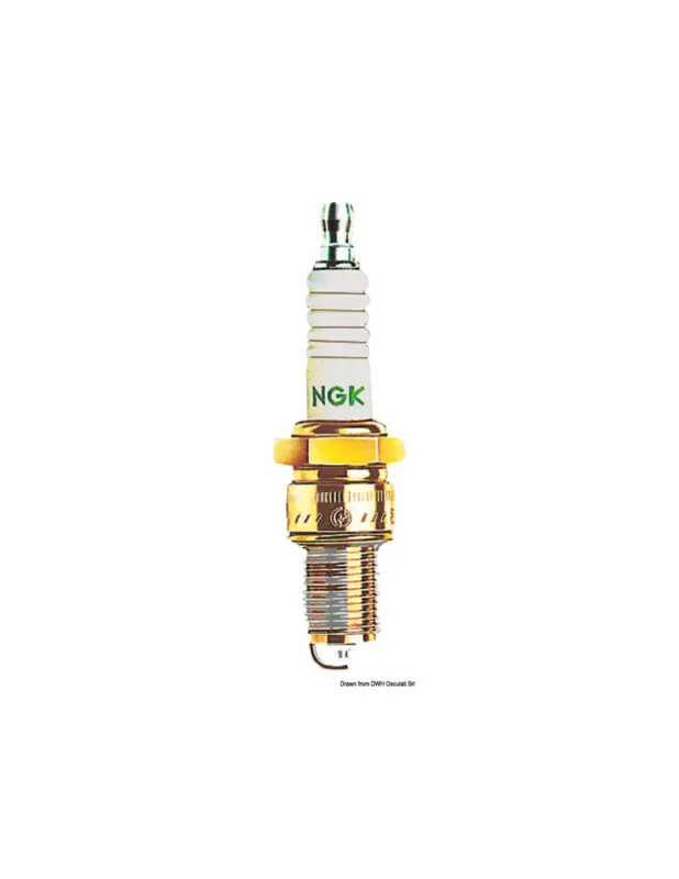 NGK serie ZF candele per motori fuoribordo Esclusivo