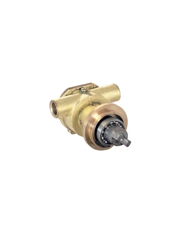 Soddisfatti O Rimborsati Pompa flangiata Ancor ST 136 in bronzo, attacco 3/8"