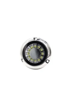 Spedizione Espresso Faro subacqueo LED bicolore bianco/blu, 144W, 9-32V, corpo inox 316 IP68