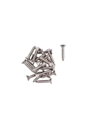 Nuova Collezione Viti autofilettanti Inox A4 testa piana impronta a croce 20 Pz Ø 3,9 mm