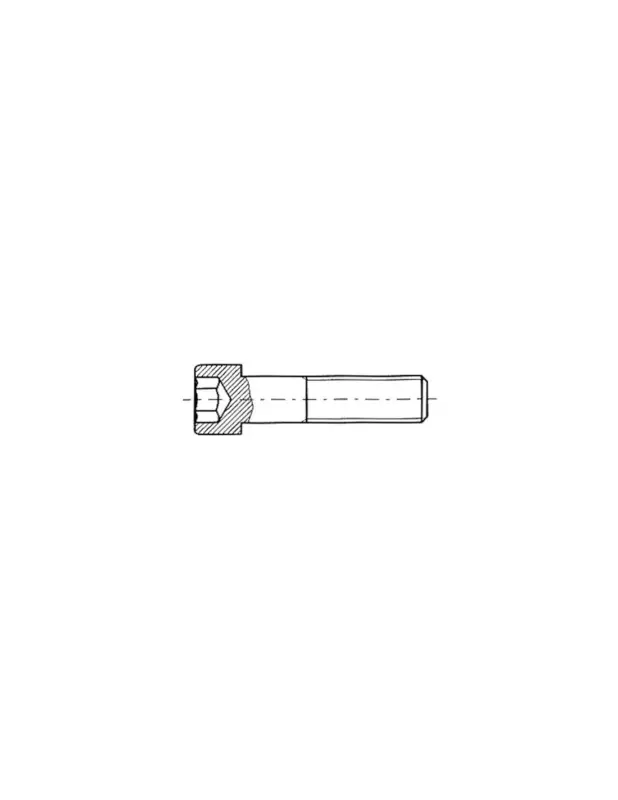 Vite inox testa cava esagonale TREM Ø 5 mm lunghezza 10 mm Direttamente Dal Produttore