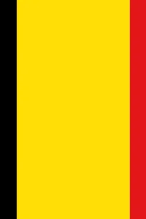 Promozione Esclusiva Bandiera Belgio 20 x 30 cm