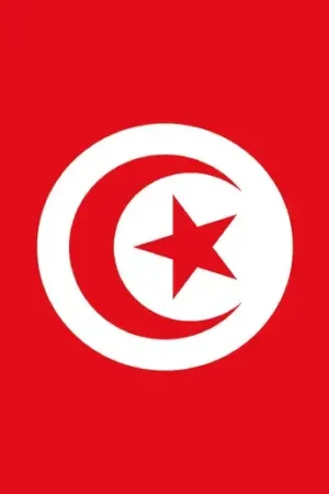 Bandiera Tunisia 20 x 30 cm Ordina Subito